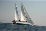 Steel -Gulet /Motor sailor  - Pax Navi 43 m