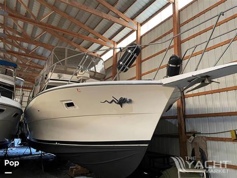 Viking 43 Double Cabin Motoryacht - Viking 43 Double Cabin
