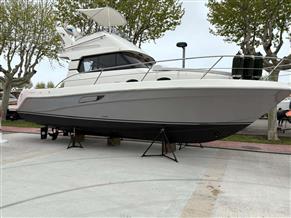 FAETON MORAGA 1040