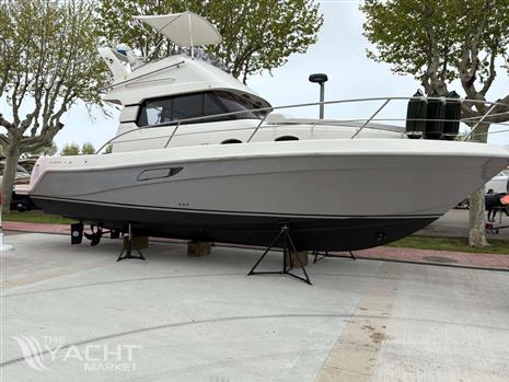 FAETON MORAGA 1040