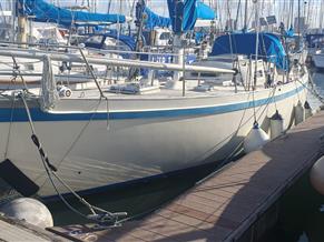 Tradewind 35