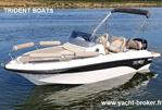 TRIDENT BOATS TRIDENT 530 SUNDECK