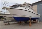 BOSTON WHALER CONQUEST 305