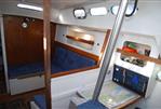 Steel Robert Tucker Leopard 32