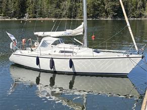 Dehler 31