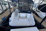 Sea Ray 310 Sundancer