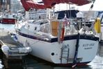 Freedom 30
