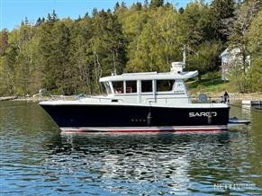 Sargo 31