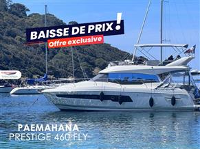 PRESTIGE PRESTIGE 460 FLY