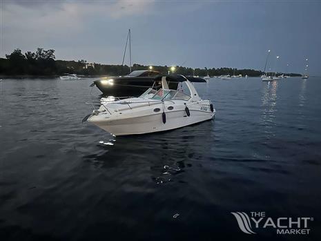 SEA RAY SUNDANCER 275