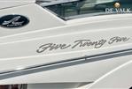 Sea Ray 52 Sedan Bridge - Picture 7