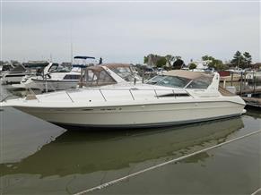 Sea Ray 400