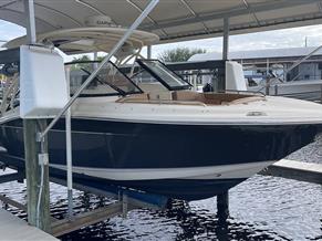 Scout Dorado 255