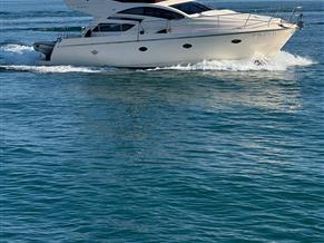 Rodman muse 44