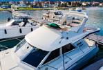 Fairline 43
