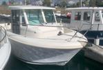 JEANNEAU MERRY FISHER 655 MARLIN