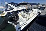 White Shark 225