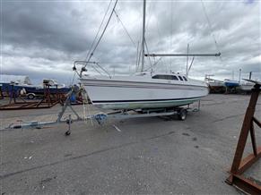 Hunter  Legend 240