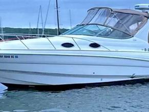 Larson Cabrio 290