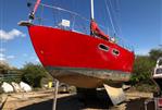 Steel Robert Tucker Leopard 32