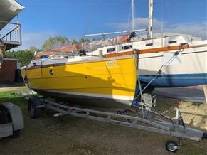 Cornish Crabbers Shrimper 19