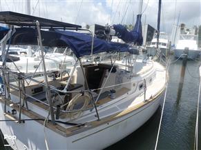 Island Packet 31