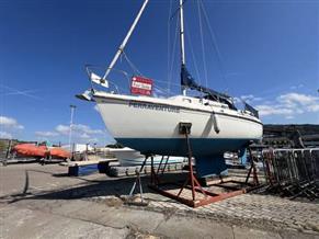 Westerly Cirrus