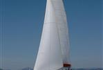 CUSTOM CATAMARAN CUSTOM 43'