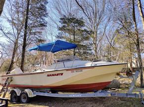 Boston Whaler Revenge