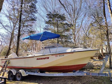 Boston Whaler Revenge