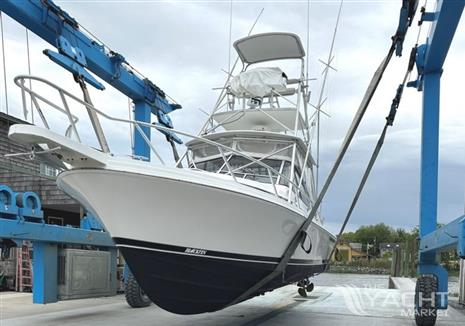 Blackfin 33 Combi
