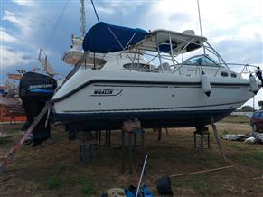 Boston Whaler Boston-Whaler 295 Conquest