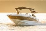 Sea Ray SDX 290