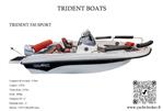 TRIDENT BOATS TRIDENT 530 SPORT