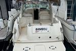 SEA RAY SUNDANCER 290