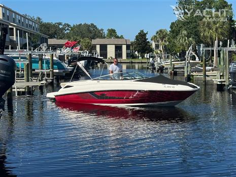 Sea Ray 240 Sundeck - 2013 Sea Ray 240 Sundeck boat in marina, calm water, sunny day.