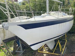 ALOA ALOA 29