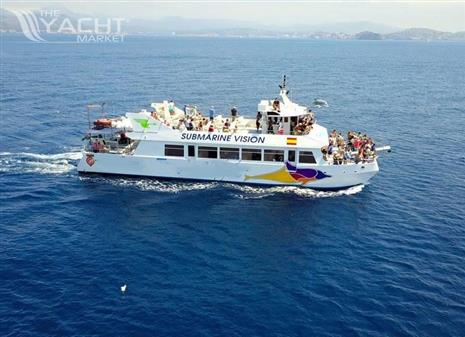 Commercial catamaran