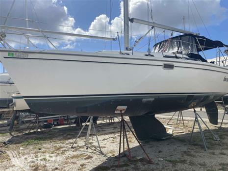 Catalina 320