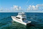 Hatteras Convertible