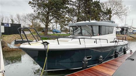 Sargo 31