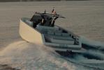 PARDO 43
