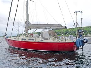 Rustler 42