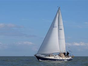 Koopmans 33