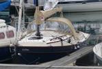 Bay Cruiser  23