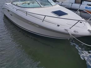 SeaRay 225 WE