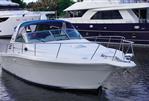 Sea Ray 340 Amberjack