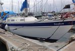 Hallberg-Rassy 29 - 1993 hallberg rassy 29 sail 9442953 20240626035202275 1 XLARGE