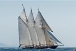 Van der Graaf B.V 3 masted Top Sail Schooner - Van der Graaf