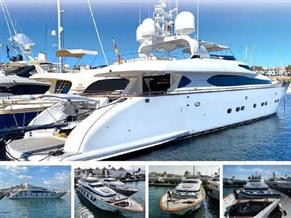 Maiora 31DP